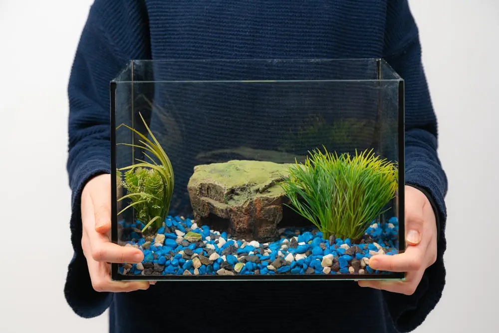 Mann-traegt-ein-Aquarium