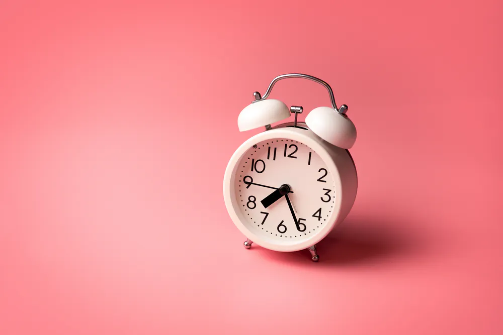 Umzugskonzept Schnelles packen und umziehen